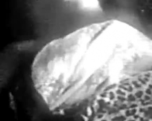 अमांडा टेट को अपनी मंजिल पर एक छिपा हुआ कैमरा मिला, जिसे वह तब तक बंद नहीं कर सकती थी जब तक कि उसे अच्छा नहीं मिला।