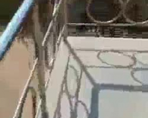 ताजा गोरा, Jayne Haze छत पर रहते हुए अपने साथी के पर्क डिक को चाट रहा है।